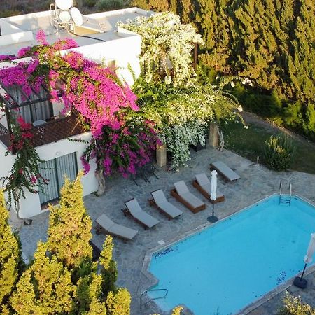 Banana Sunset Villas Paphos Exterior photo