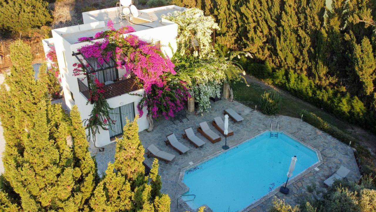 Banana Sunset Villas Paphos Exterior photo