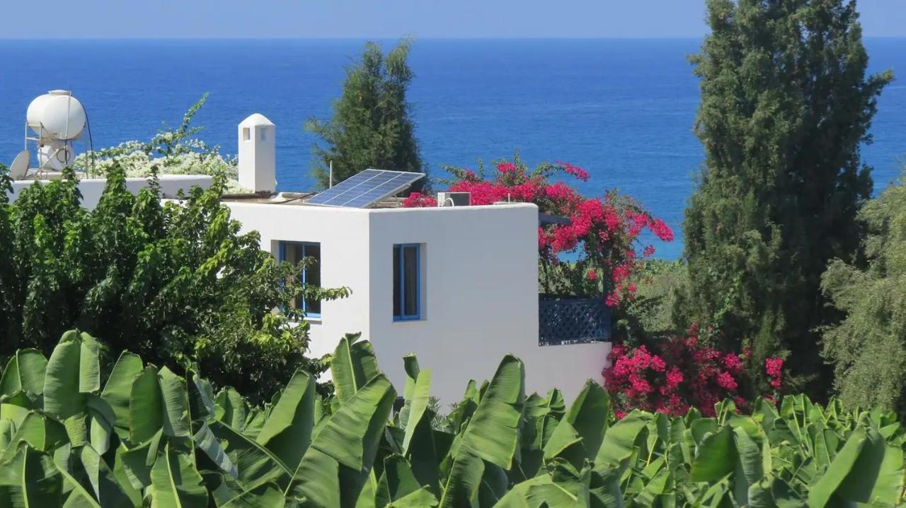 Banana Sunset Villas Paphos Exterior photo