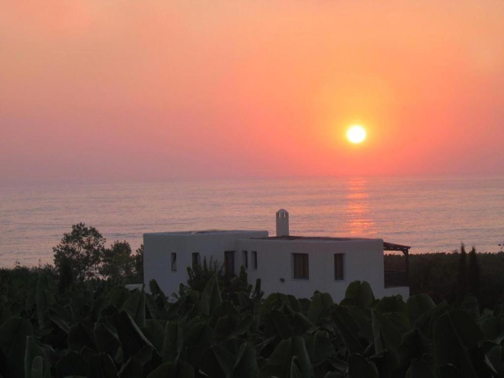 Banana Sunset Villas Paphos Exterior photo