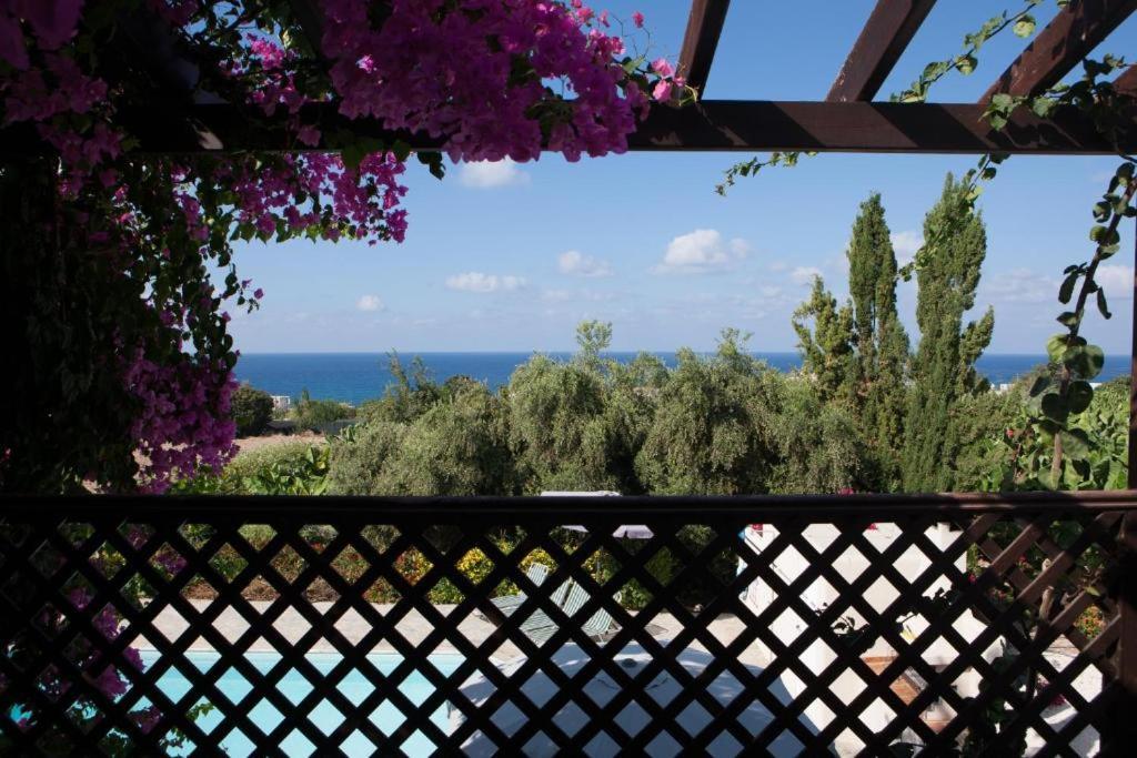 Banana Sunset Villas Paphos Exterior photo