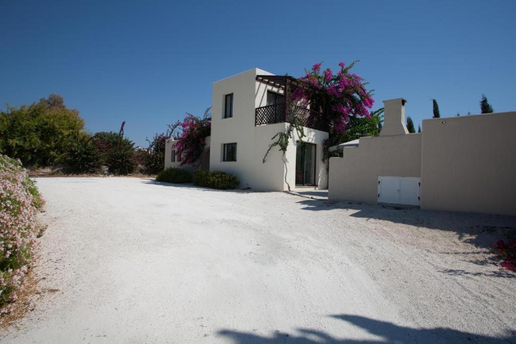 Banana Sunset Villas Paphos Exterior photo